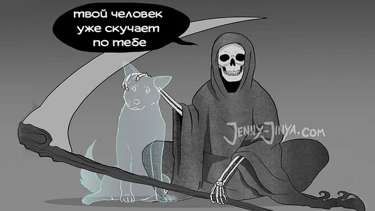 Изображение для превью