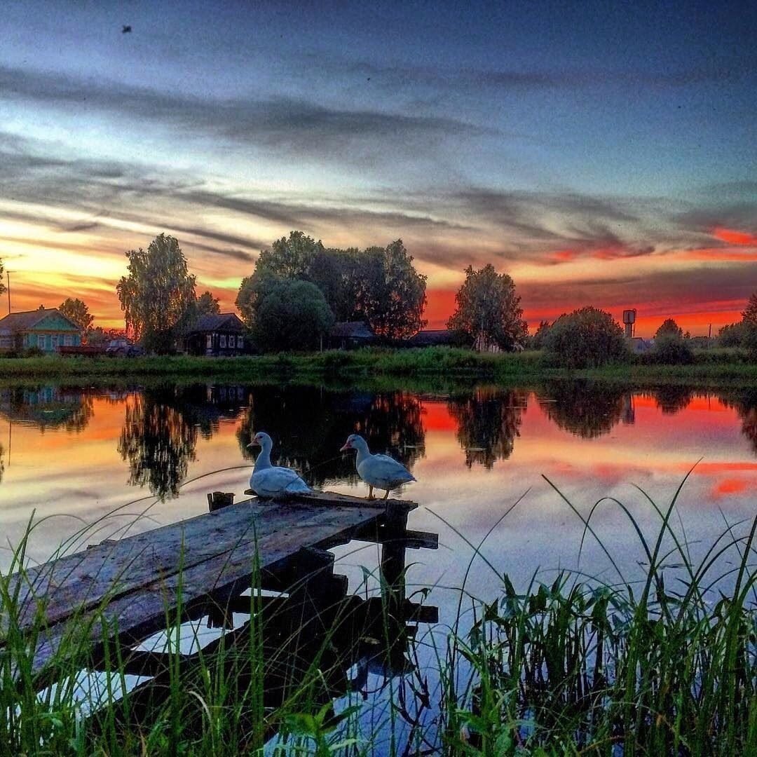 интернет-картинка