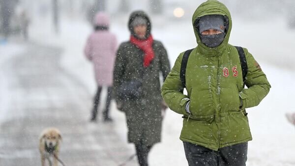    © Sputnik / Мария Амелина