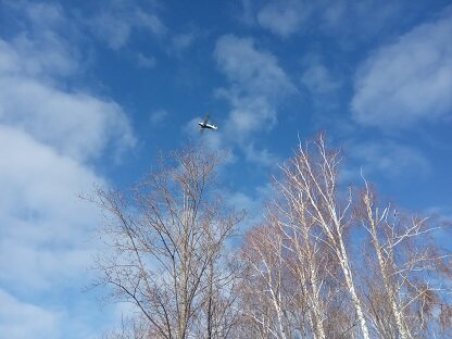 Фотография из личного архива автора