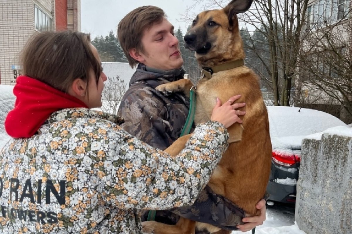 Новогоднее чудо. Пара из Брянска спустя 2 года нашла пропавшего пса в Твери  | АиФ–Тверь | Дзен