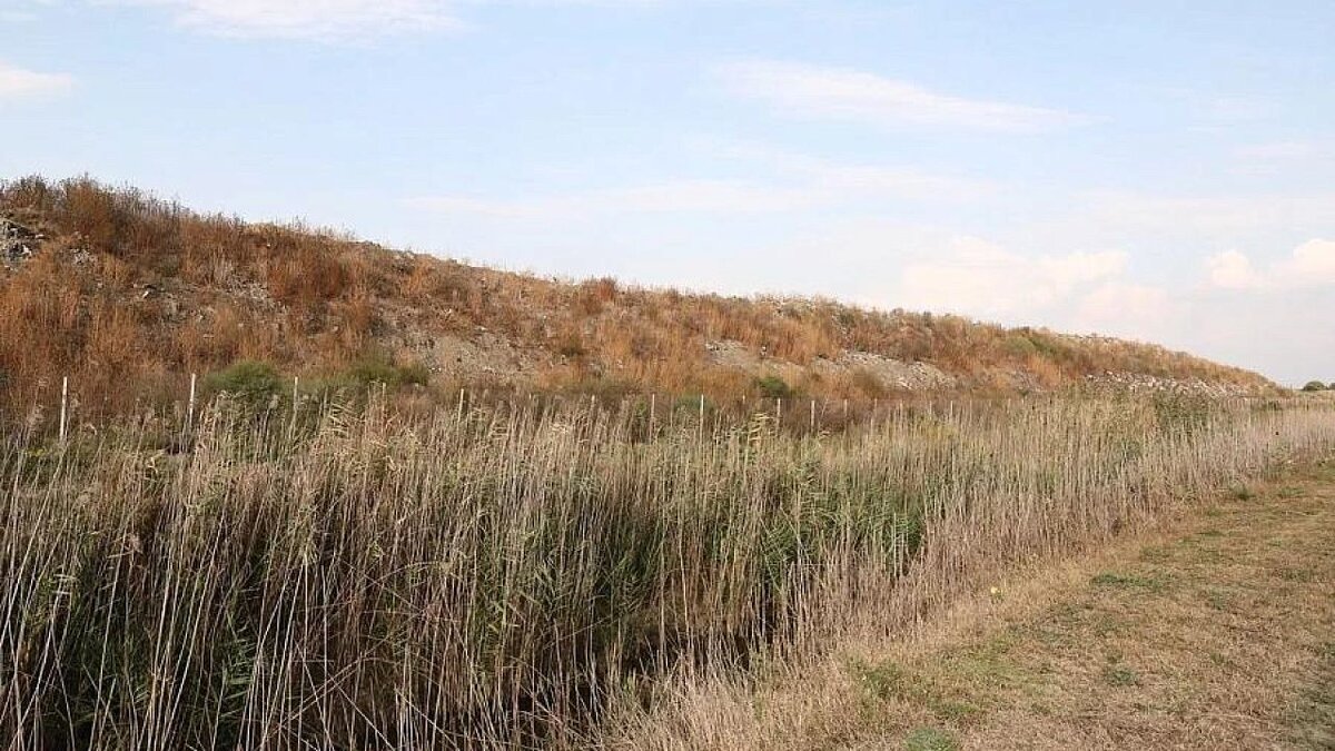    Губернатор Кубани заверил жителей Полтавской: мусорный полигон не заработает Фото: пресс-служба администрации Краснодарского края