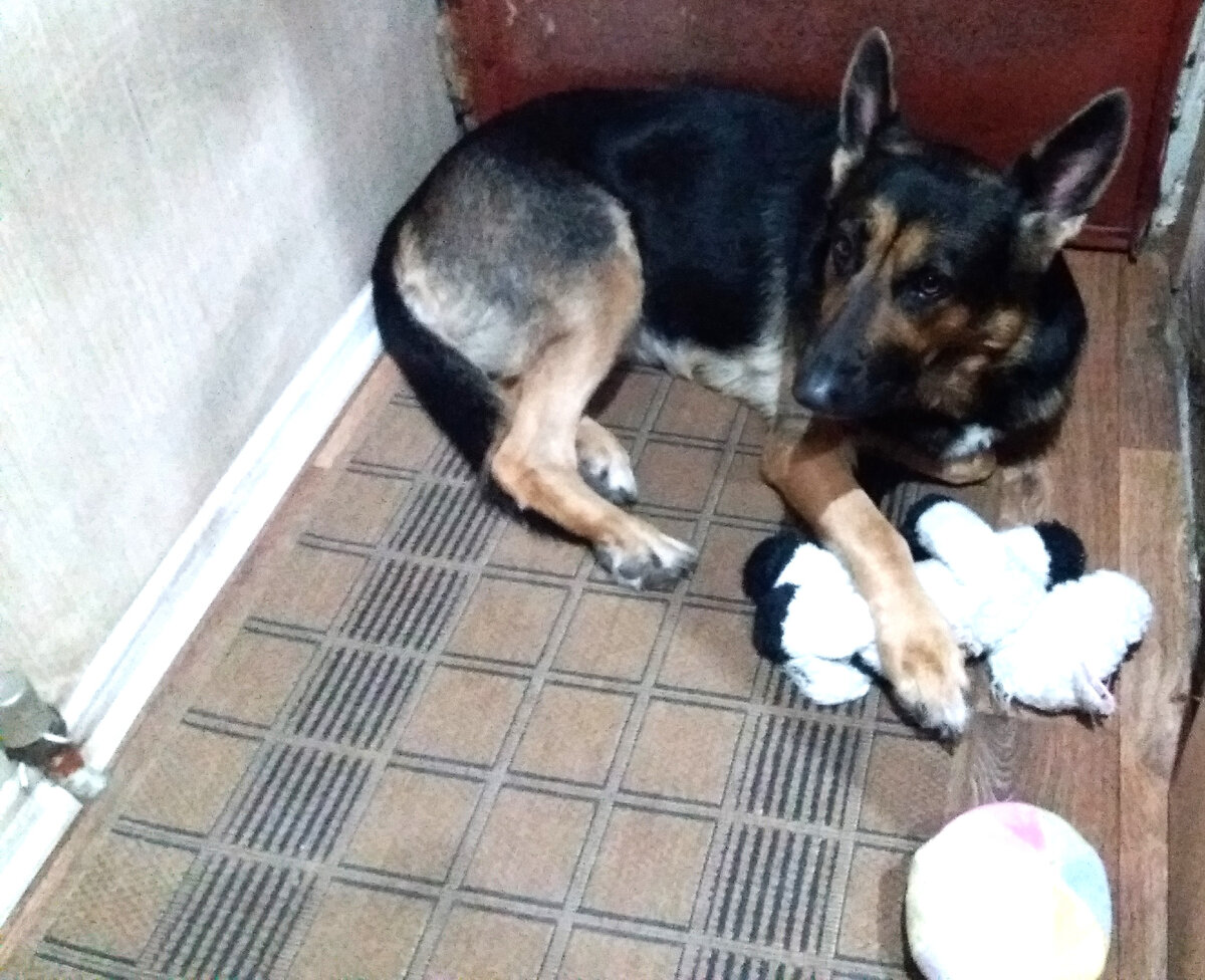 Фото автора