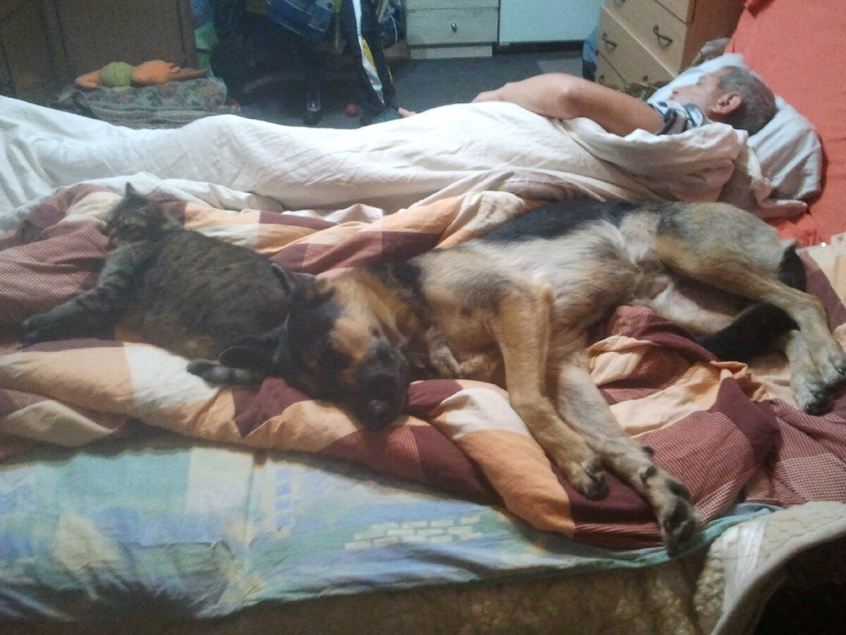 Фото автора