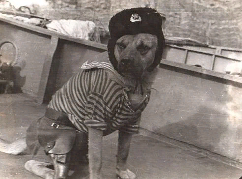 Фото из открытых источников WWW.