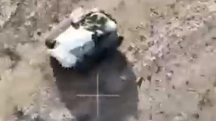 Фото: скриншот из видео