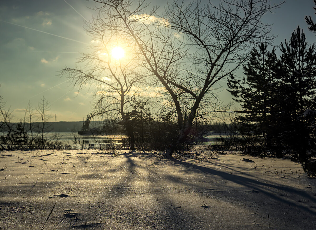 тени на снегу