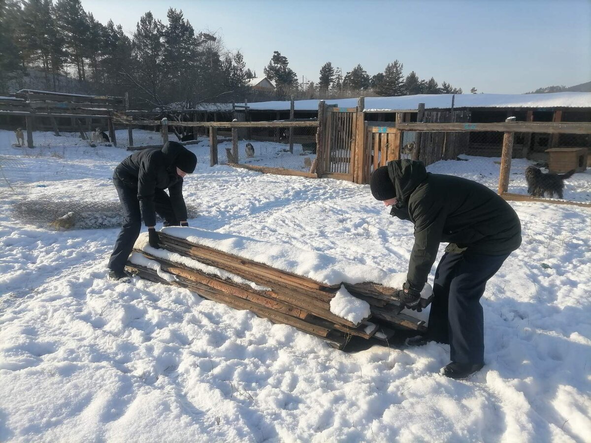 Студенты железнодорожного колледжа помогают разбирать пустые вольеры