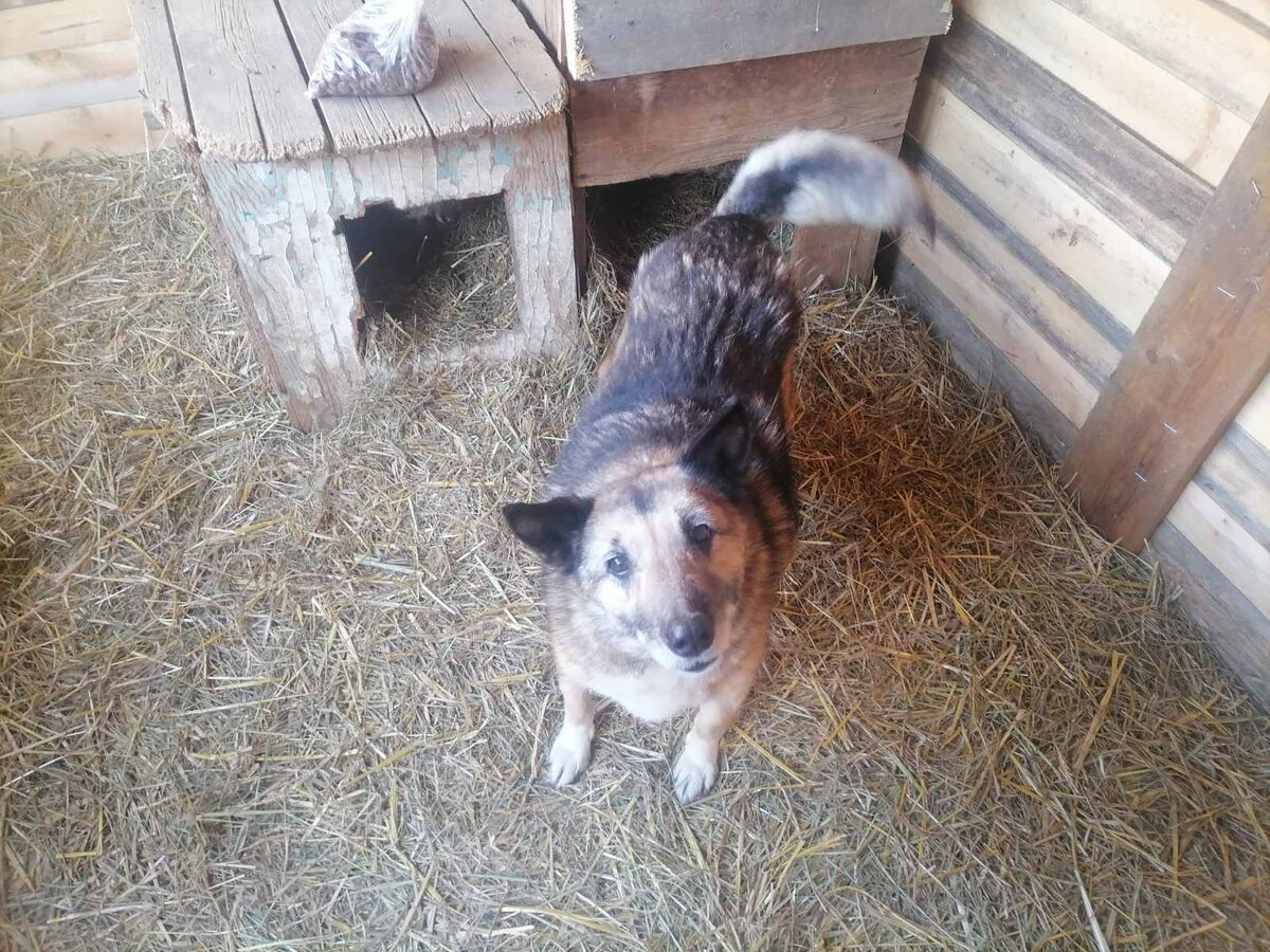 На новом месте