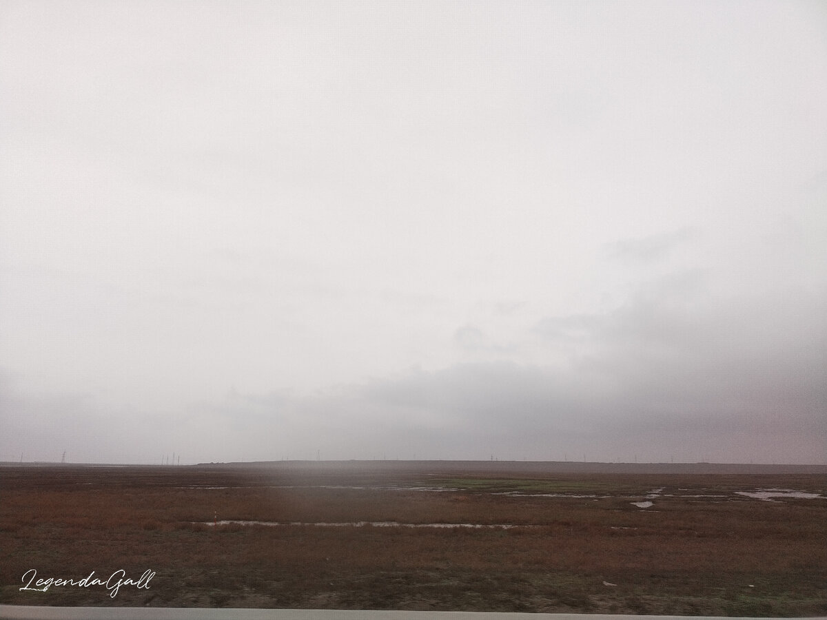 Все поля как болото