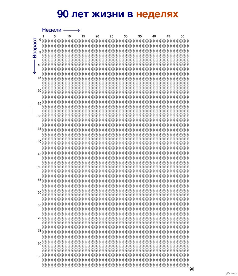 Источник: pikabu.ru