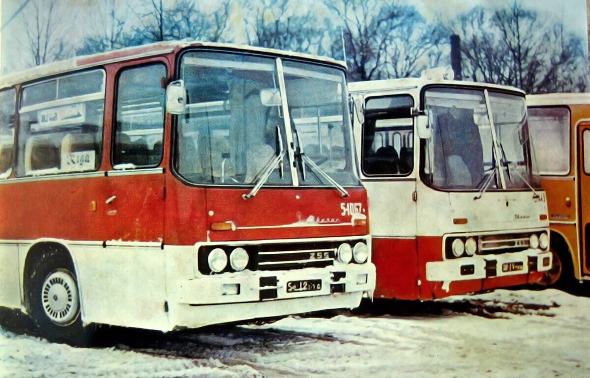 ▲ На снимке два Ikarus 255 и Ikarus 260 представляют практически всю цветовую палитру Икарусов, поставляемых в СССР. Автор фото неизвестен