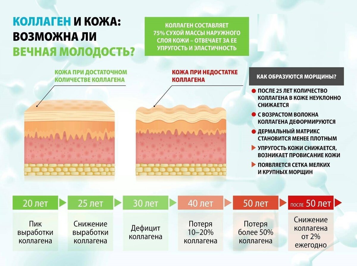 Пьют ли мужчины коллаген. Коллагеновый слой кожи. Коллаген для кожи. Потеря коллагена в коже. Выработка коллагена и эластина.