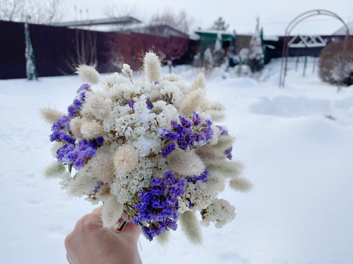 🌱Сухоцветы в действии. Новый зимний букет из Статицы и Лагуруса. |  🌼ЦветочнаяТема | Дзен