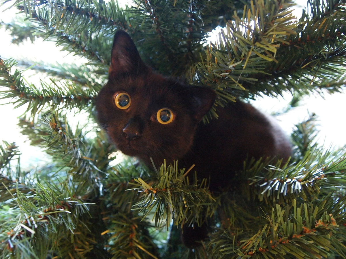 Источник: https://clck.ru/36w2QS