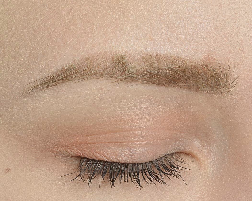 Фото взято из интернета 