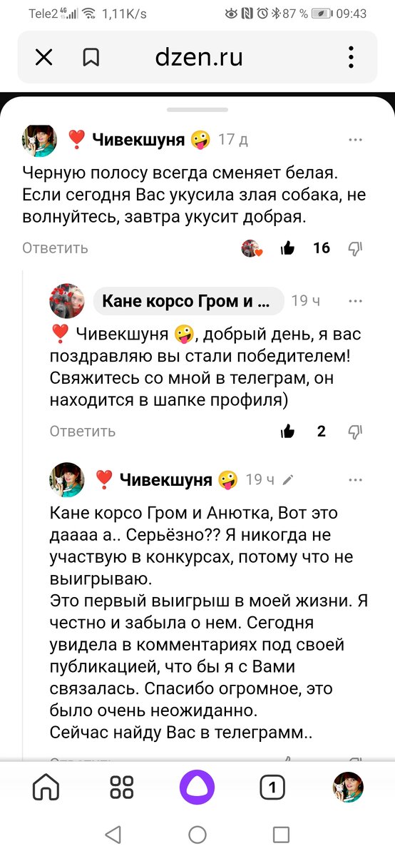 Скрин переписки. 