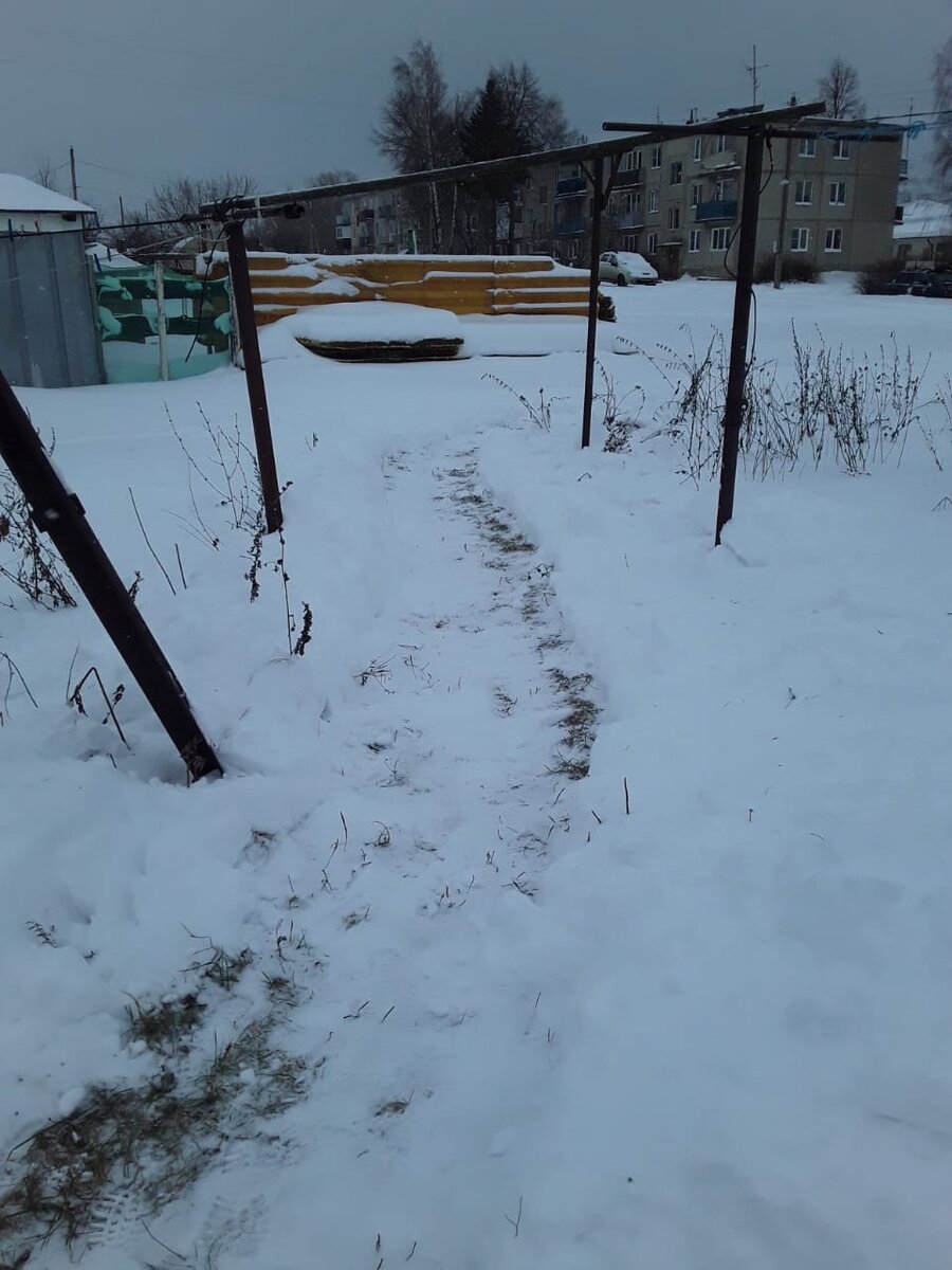 Тропиночка наша.