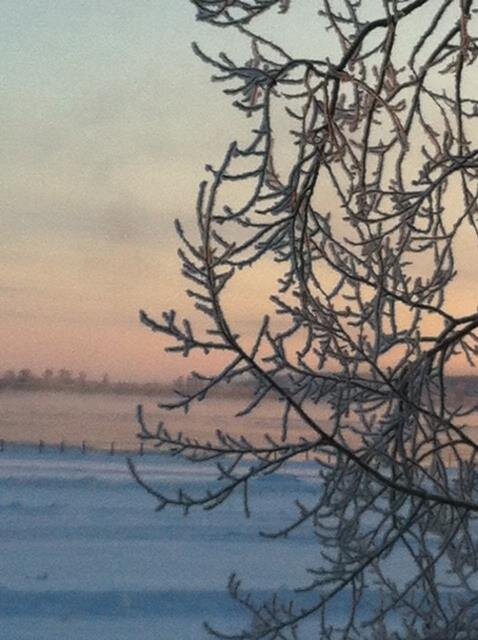 Зима на севере. Мороз -35С. SunTravel (с)