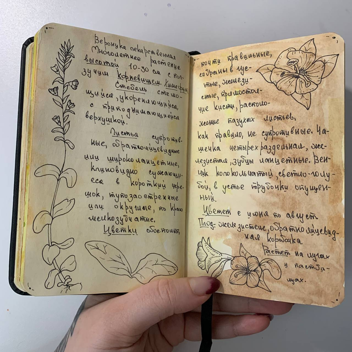 Разворот выполнен автором данного канала.