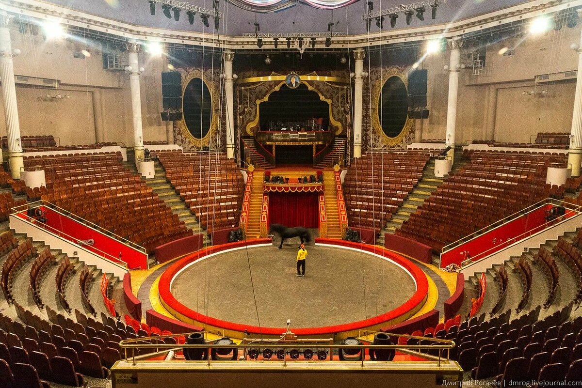 Арена цирка