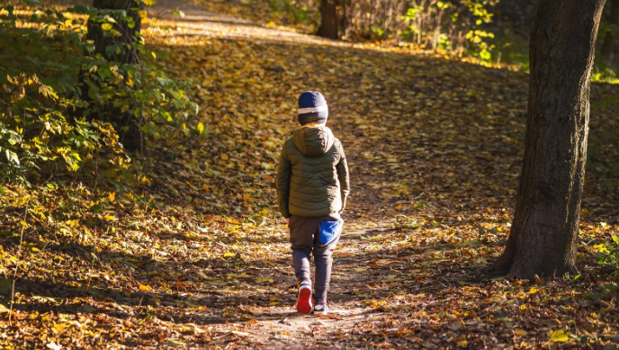 Кошкам редко свойственна ласковость и дружелюбность по отношению к людям. Чаще всего эти животные ведут себя холодно и отстраненно, однако бывают и исключения из правил.