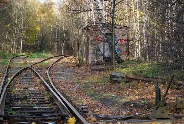 Кошкам редко свойственна ласковость и дружелюбность по отношению к людям. Чаще всего эти животные ведут себя холодно и отстраненно, однако бывают и исключения из правил.-2
