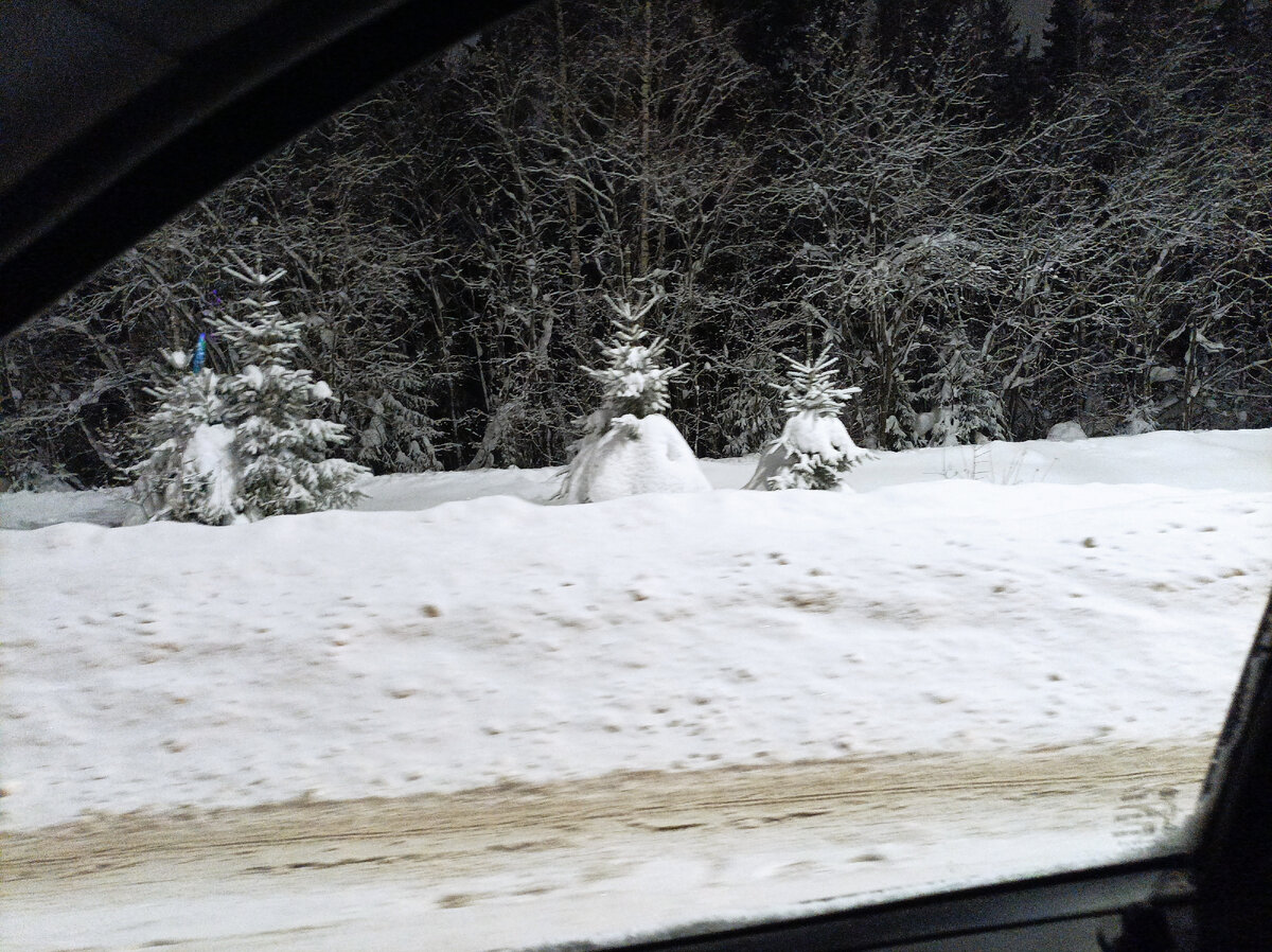 Красавицы, стою в пробке, фотографирую