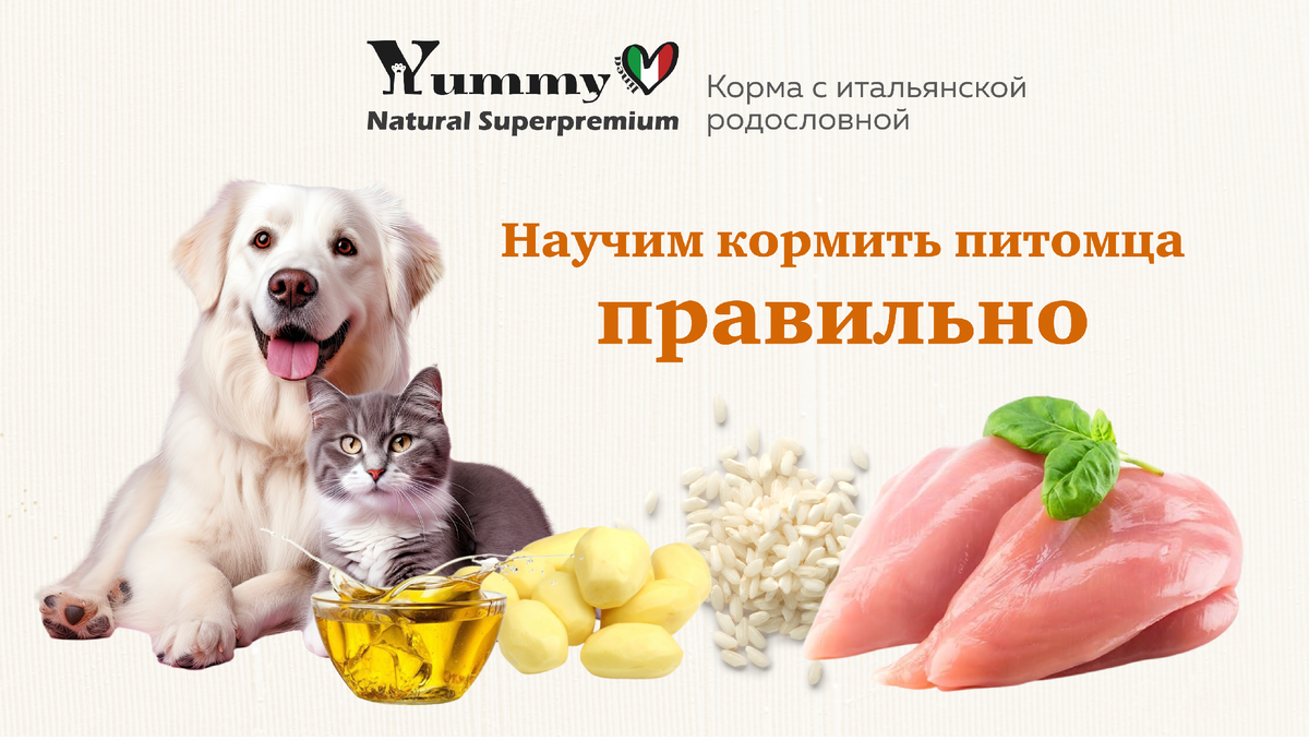Натуральный корм для собак - Yummy Linea
