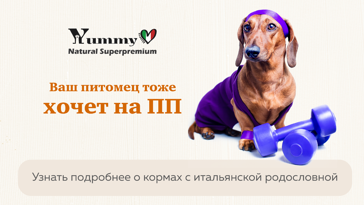 Натуральный корм для собак - Yummy Linea 