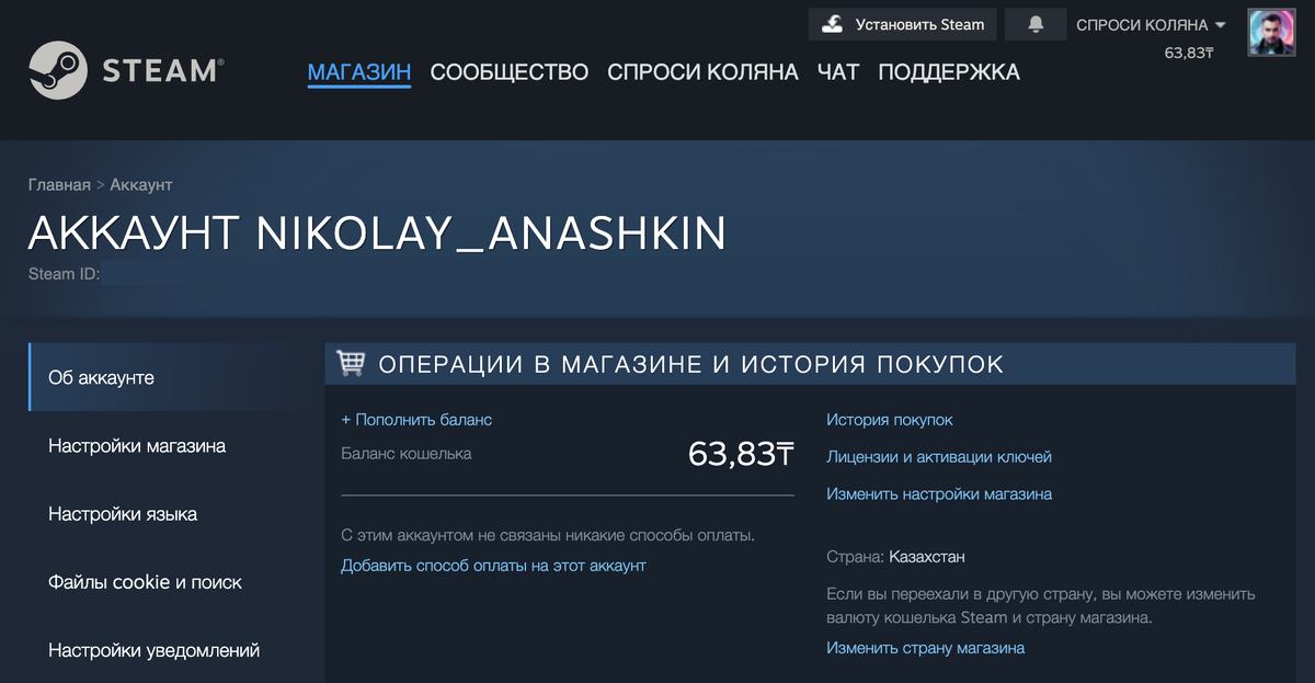 Что делать, если Steam не подключается к сети