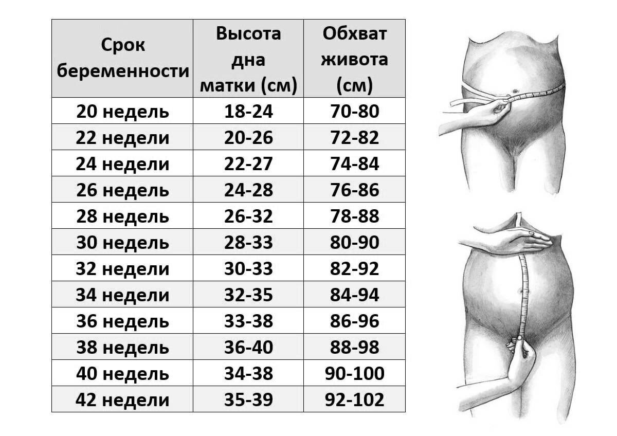 Беременность по неделям | Клиника ведения беременности в Пятигорске