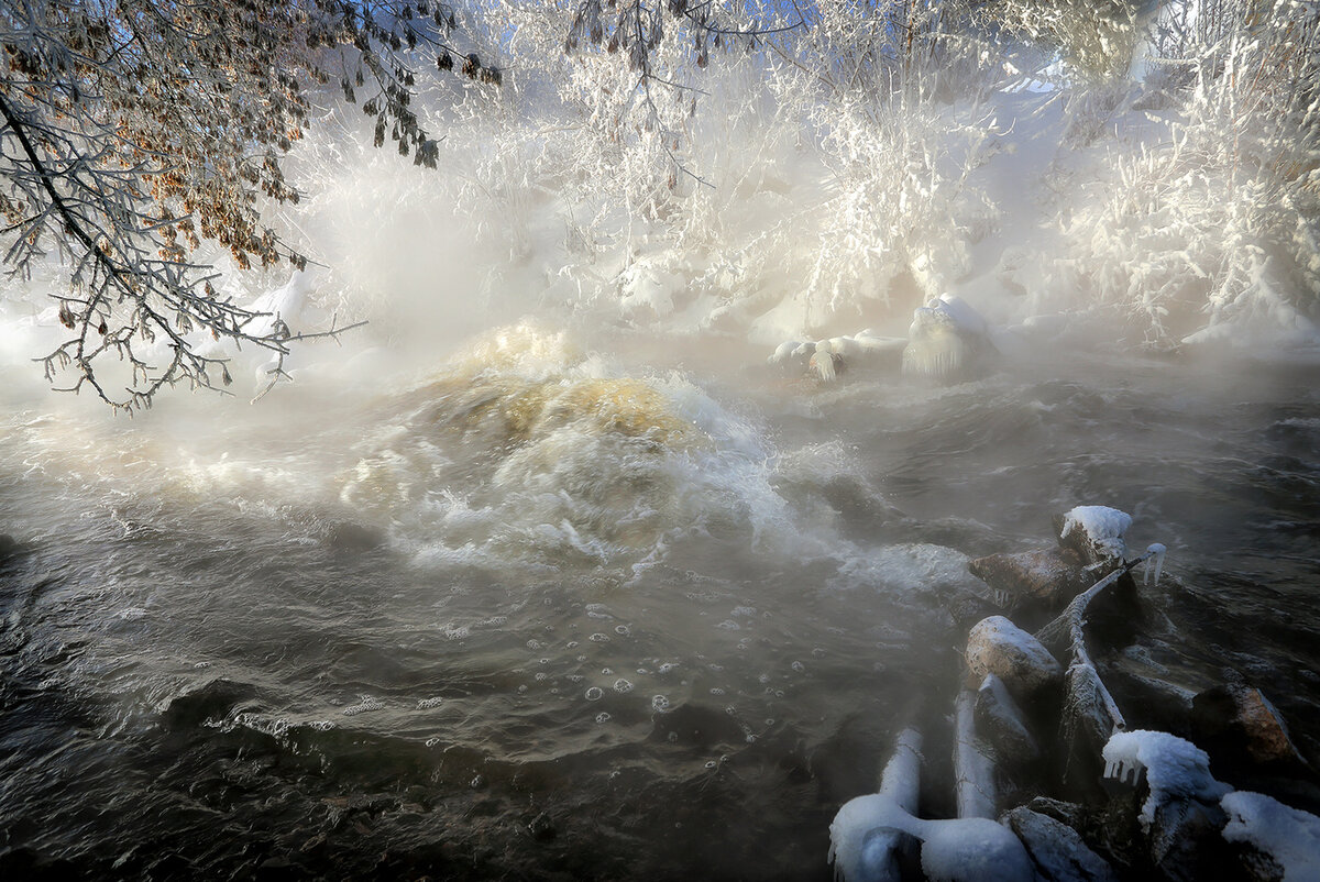 Фото из открытых источников