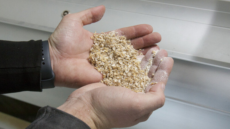     Мельничный комплекс в Целинном районе. Анна Зайкова