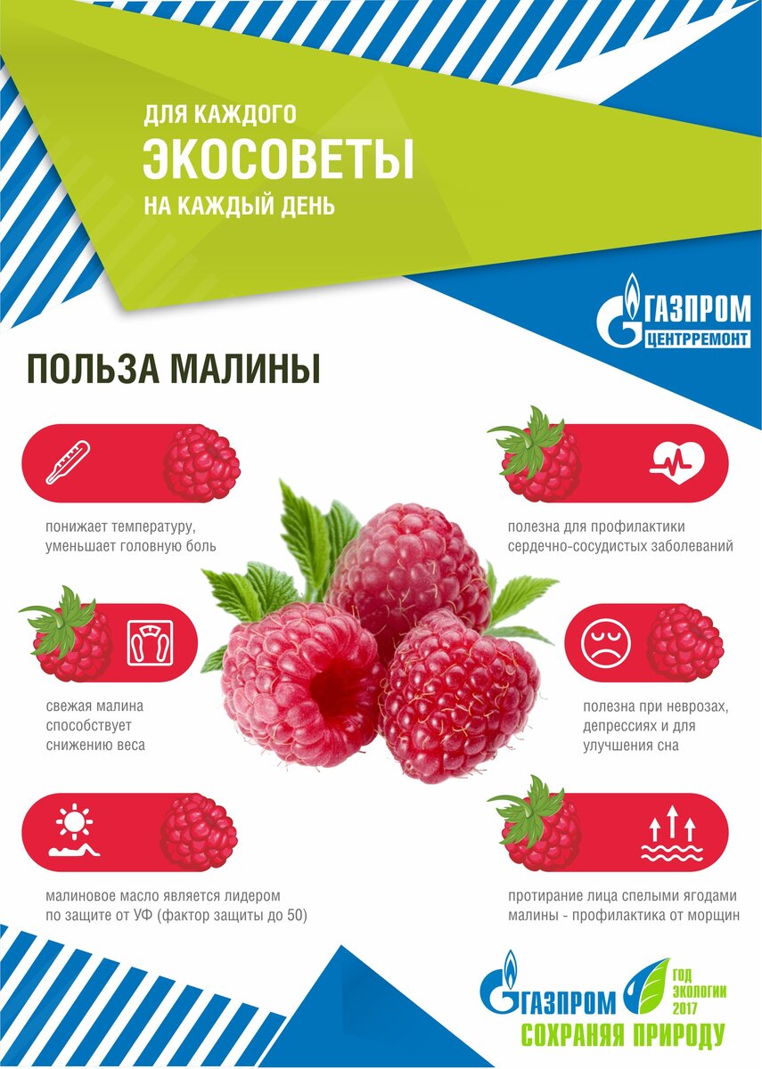 Экологические советы. 