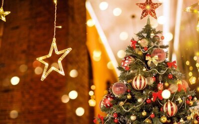 
Конец декабря и начало января – традиционная пора новогодних елок, спектаклей и шоу для детей. И, как всегда, новогодних представлений в предновогодние и праздничные дни пройдет множество.