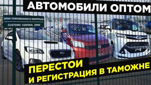 НОВЫЕ ПРАВИЛА ВВОЗА ❗️ КАКИЕ АВТО БЕРУТ ИЗ ЯПОНИИ ❓ ПЕРЕСТОИ НА СВХ