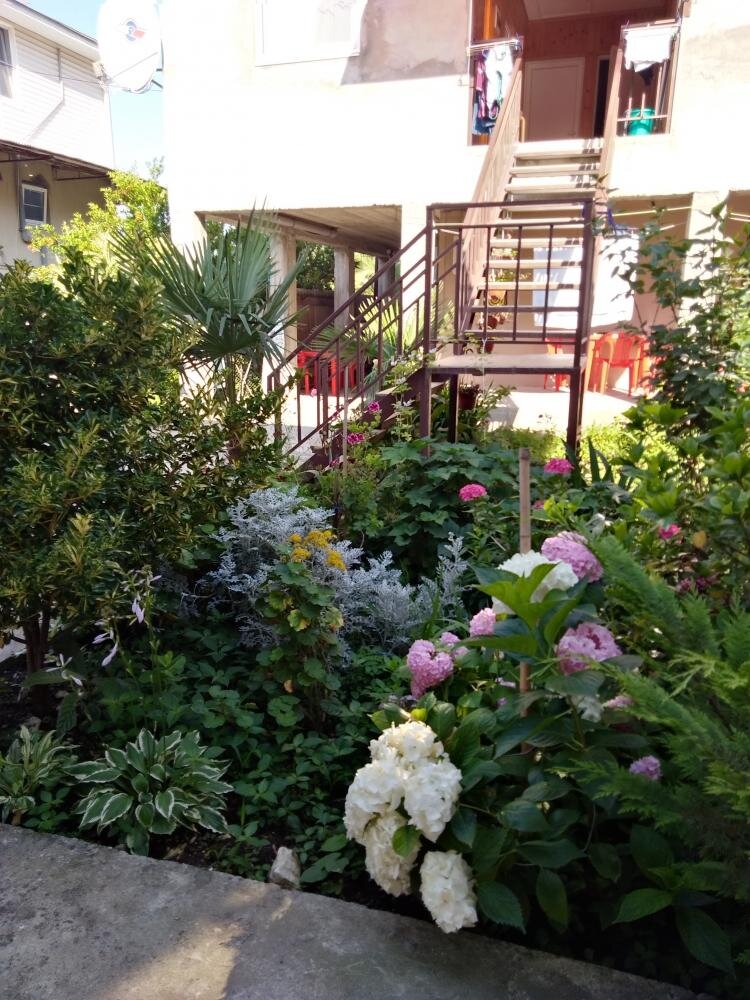 Этаже лестница из окна кухни.