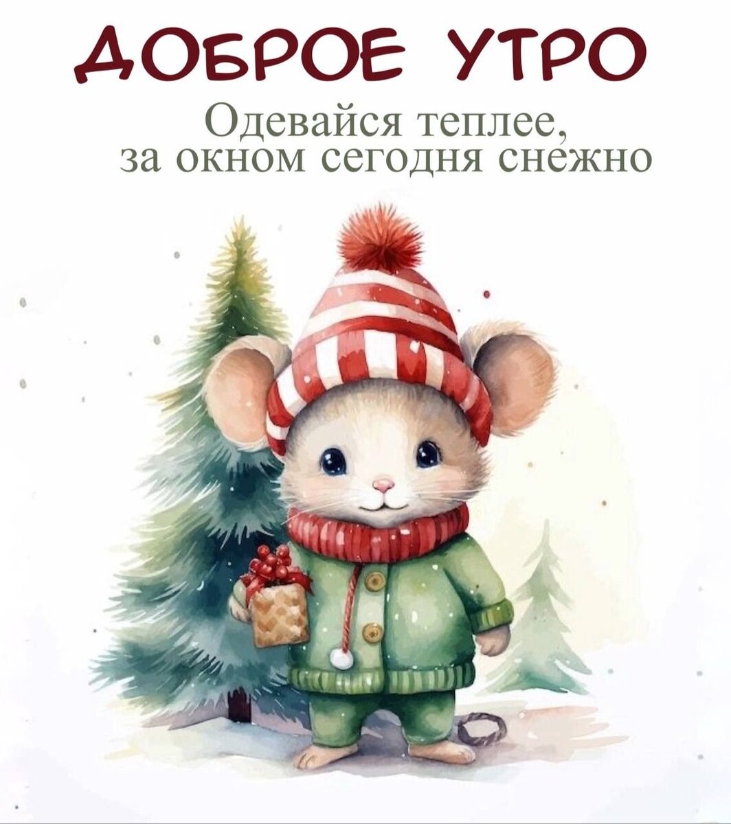 Доброе, да не очень...😣Это я про утро..... | Вечно стройнеющий , философ -  юморист в ремиссии... | Дзен