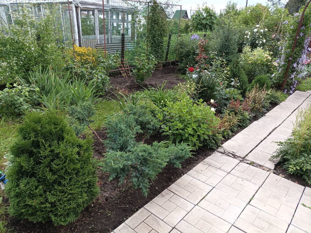 начало июля, на дальнем плане треугольник из роз