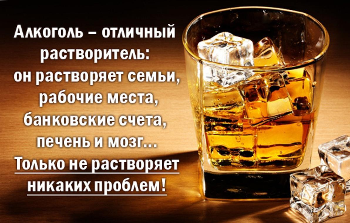 Алкогольное счастье
