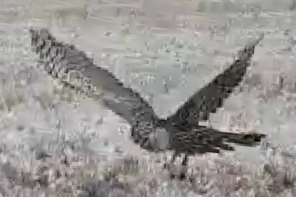    В Петропавловске спасли краснокнижного ястреба