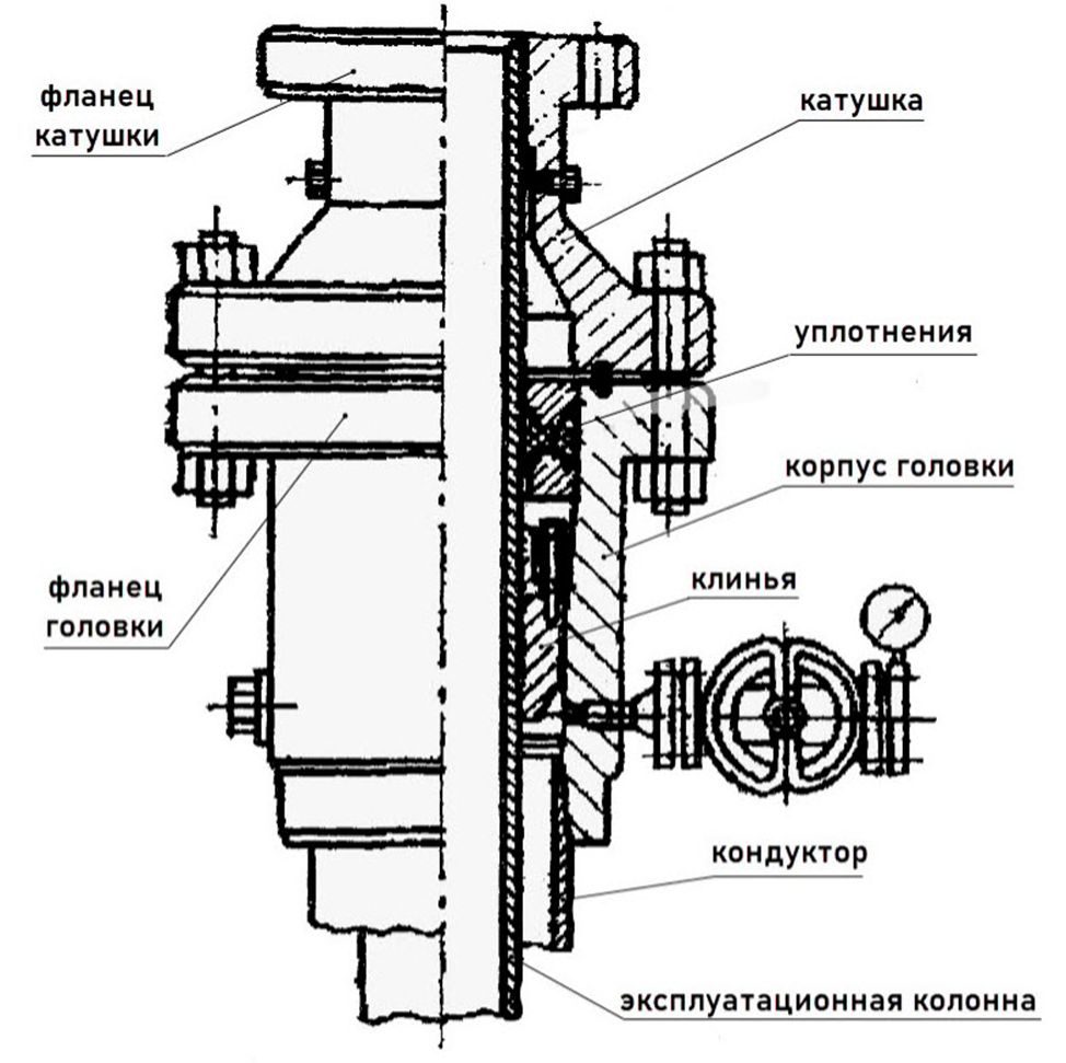 Колонная головка. Рисунок взят из https://triptonkosti.ru