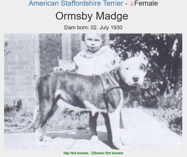 Ormsby's Madge