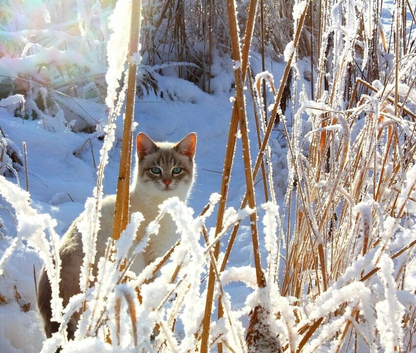 Источник: Яндекс картинки