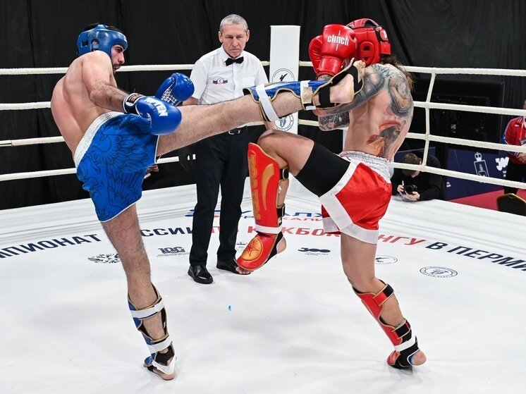     Фото: Федерация кикбоксинга России
