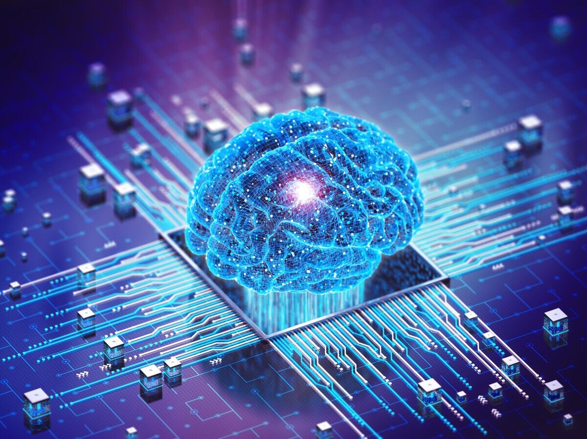    3-d макет мозга человека © iStock.com / BlackJack3D