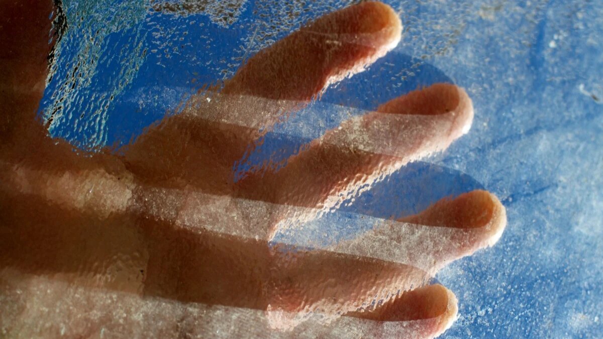 Фото: pxhere.com