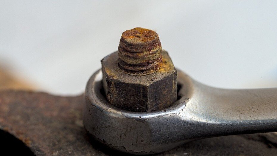 ShutterStock/Fotodom.ru