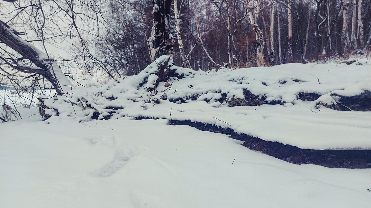 Лёд в заливах уже встал